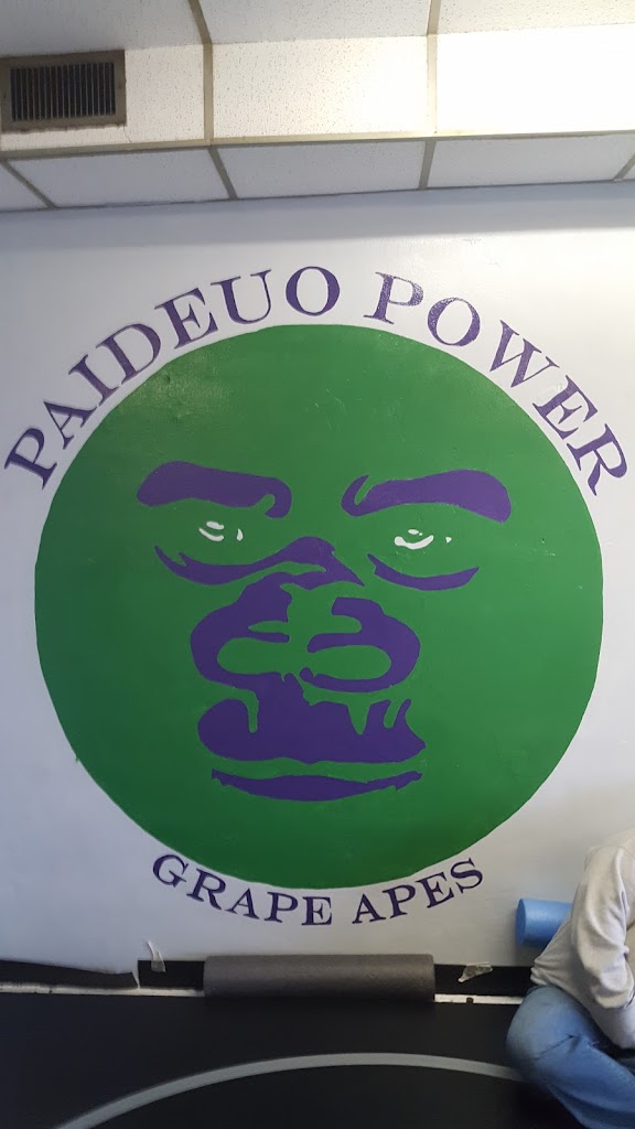  Paideuo Power