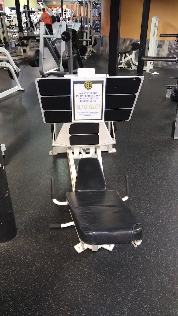  Gold's Gym