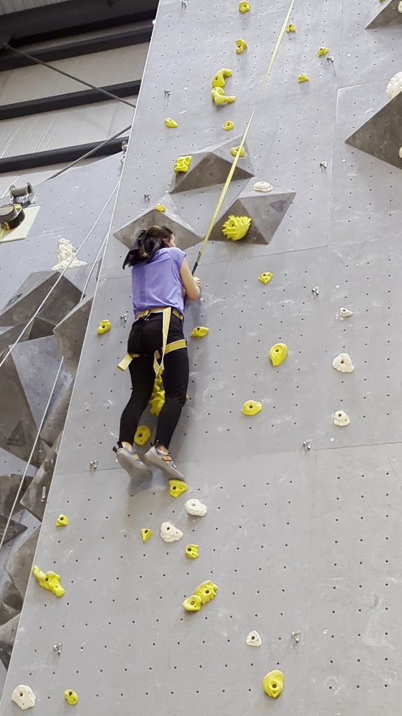  Mosaic Climbing