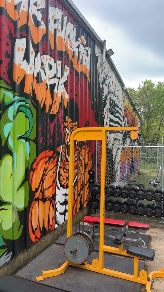  American Muscle House Springs