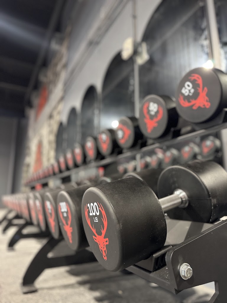  Bucked Up Fitness Queen City