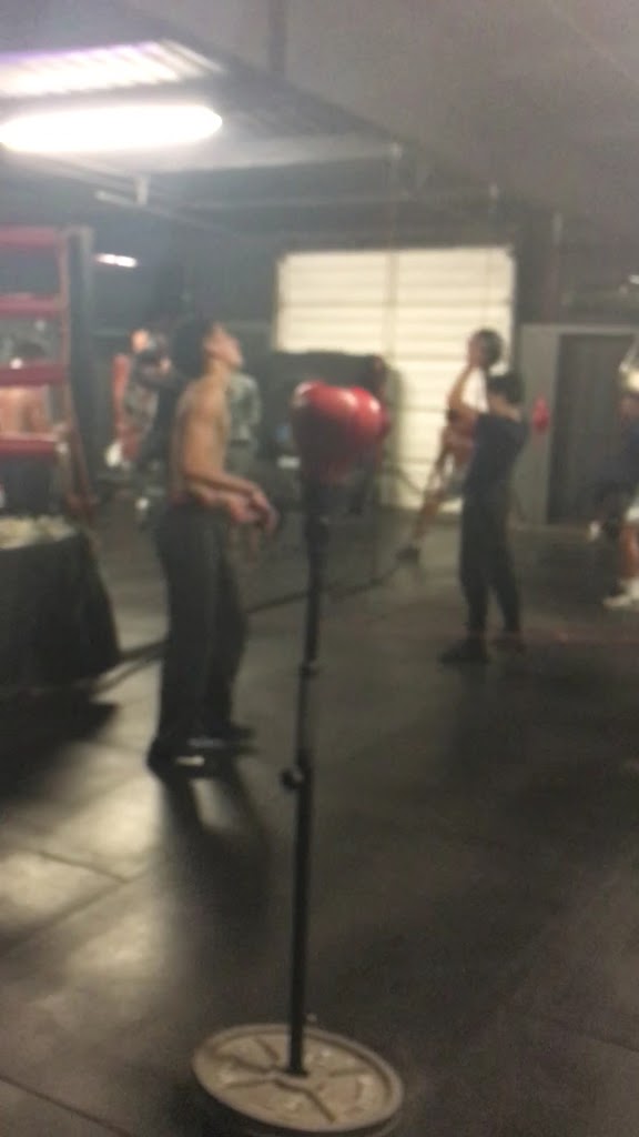  Gorilla Heavy Hitters