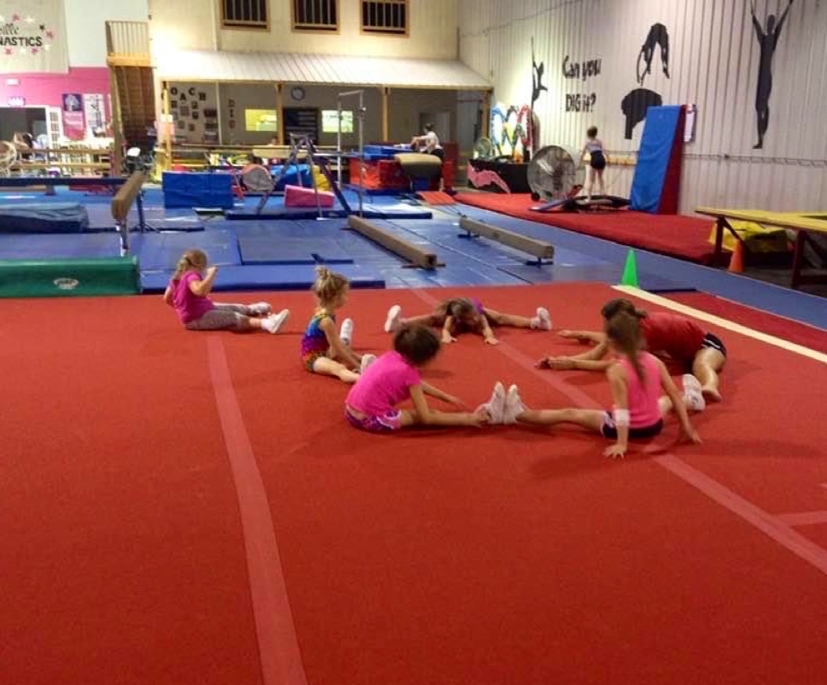  Danville institute of gymnastic