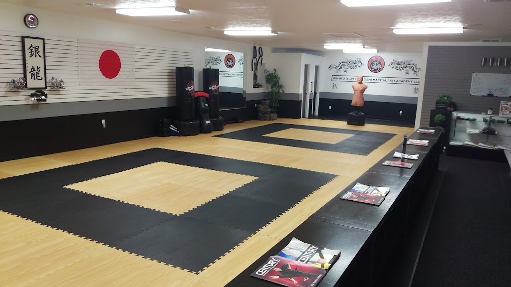  Gin Ryu (Silver Dragon) Martial Arts Academy LLC