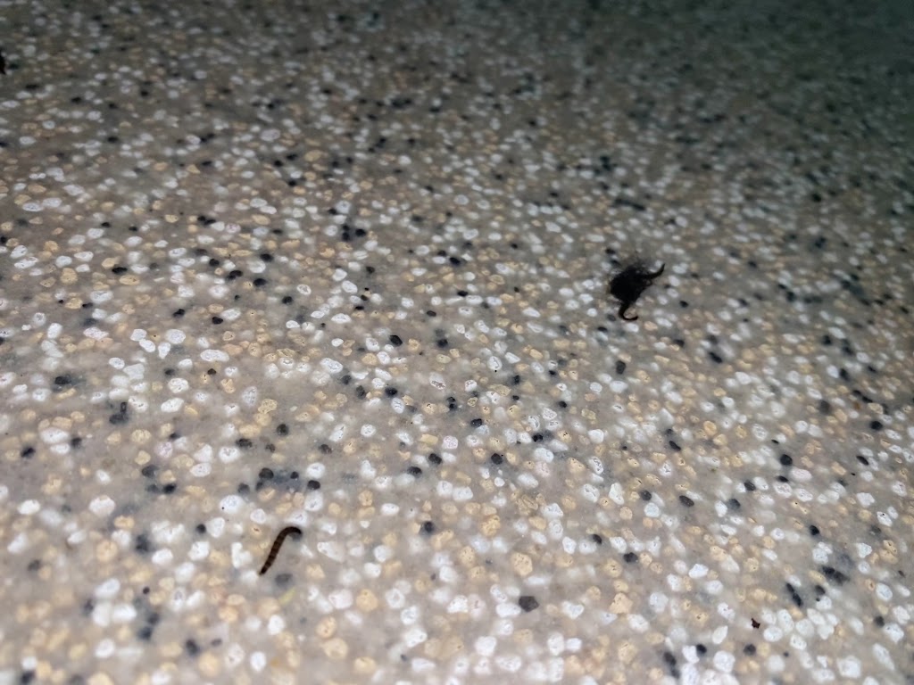  Club Loveland at Orchards