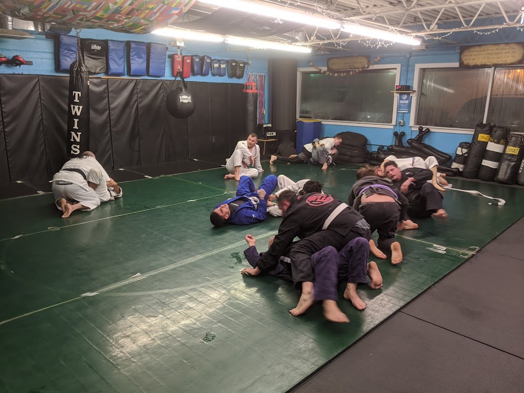  Wise Fighters and Fitness