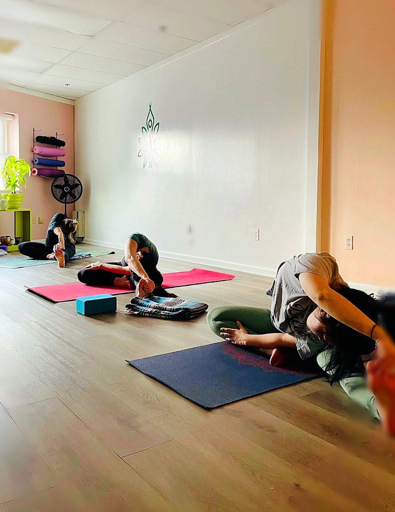  Energy Flow Yoga Studio
