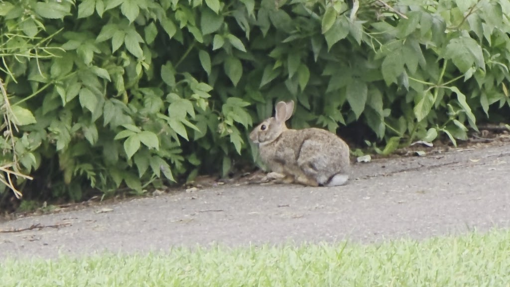  Enger Park Golf Course