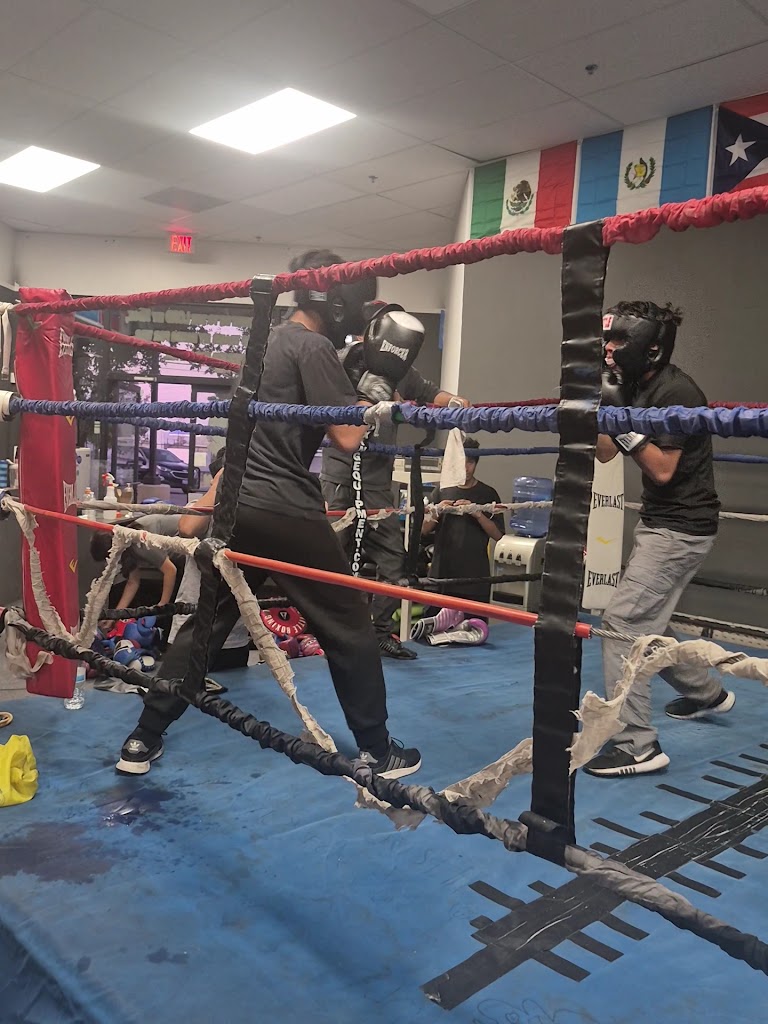  THE LORD'S RING BOXING CLUB