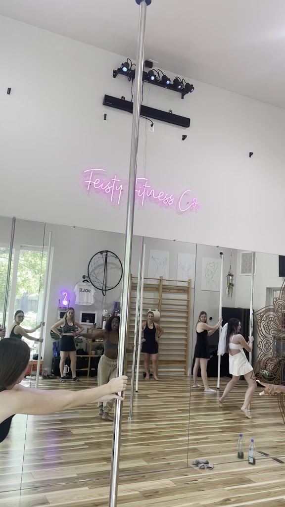  Feisty Fitness Co. Pole & Aerial