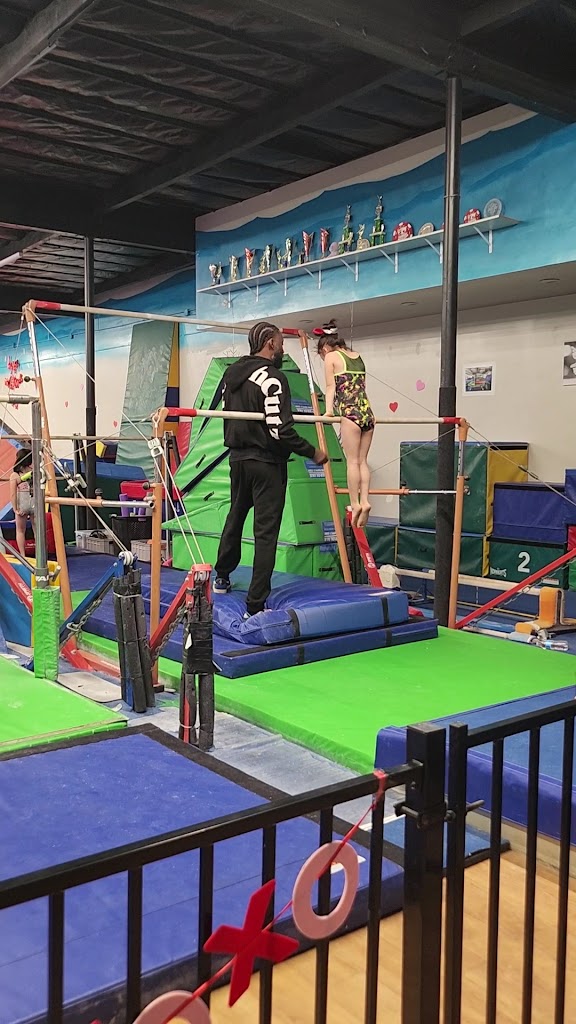  Gold Coast Gymnastics