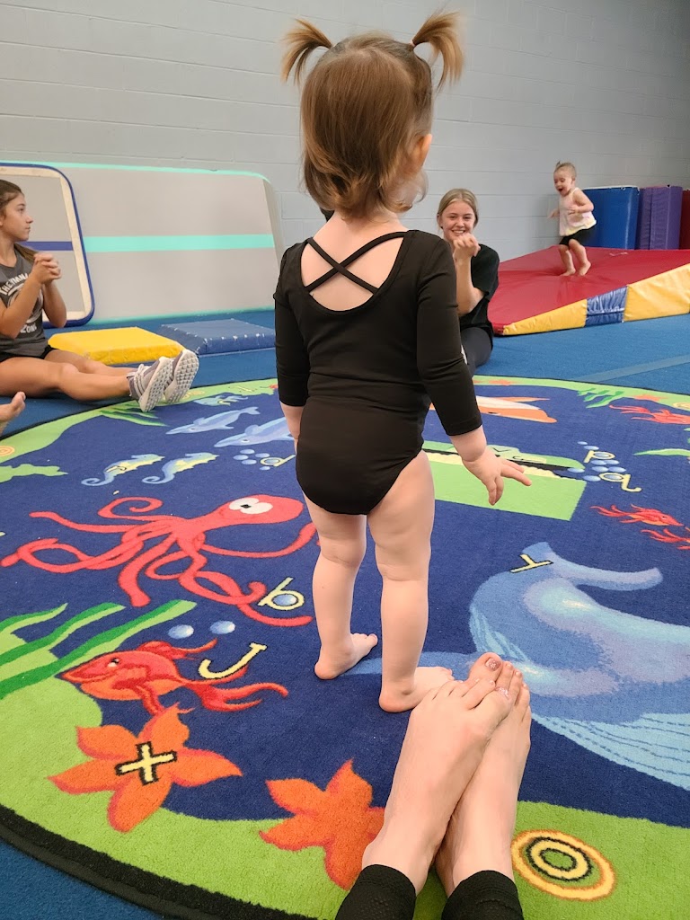  The Gymnastics Zone, Inc.