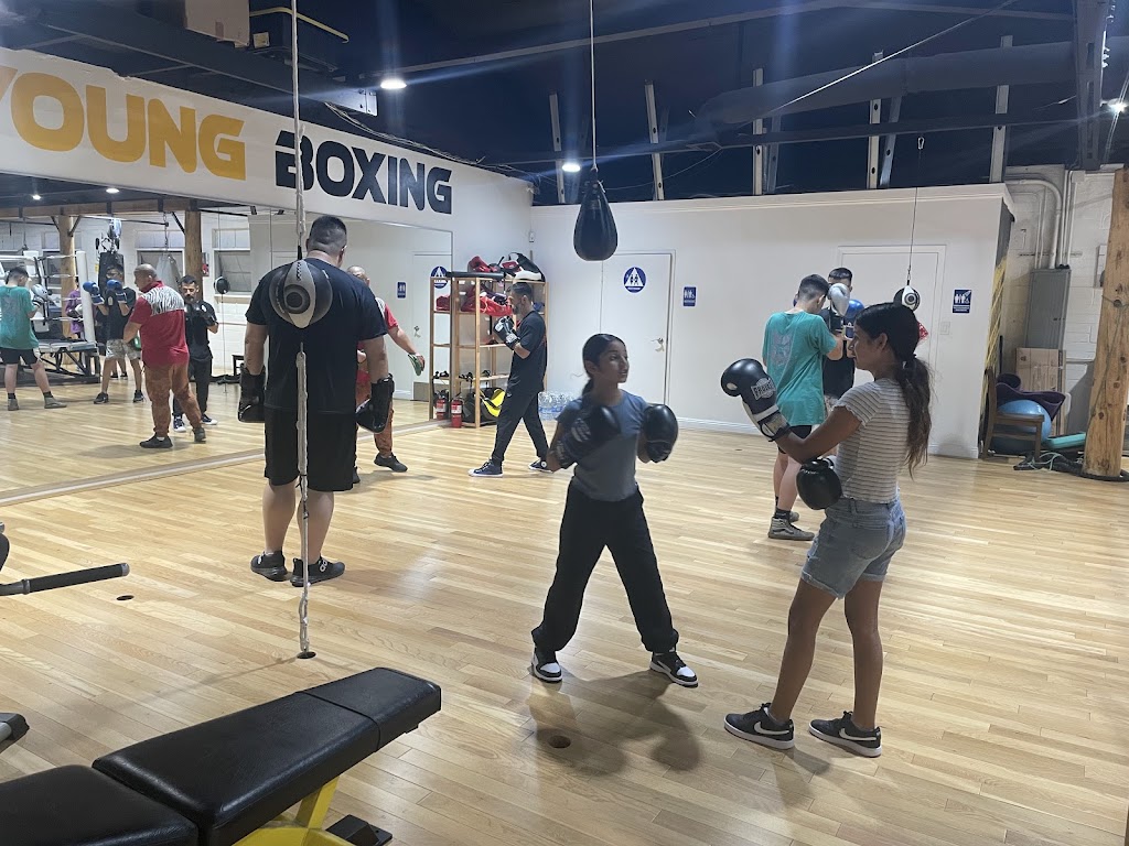  Young Boxing