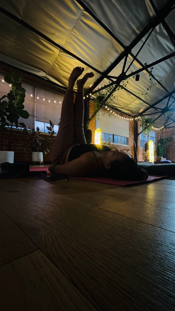  The Tree Yoga Cooperative