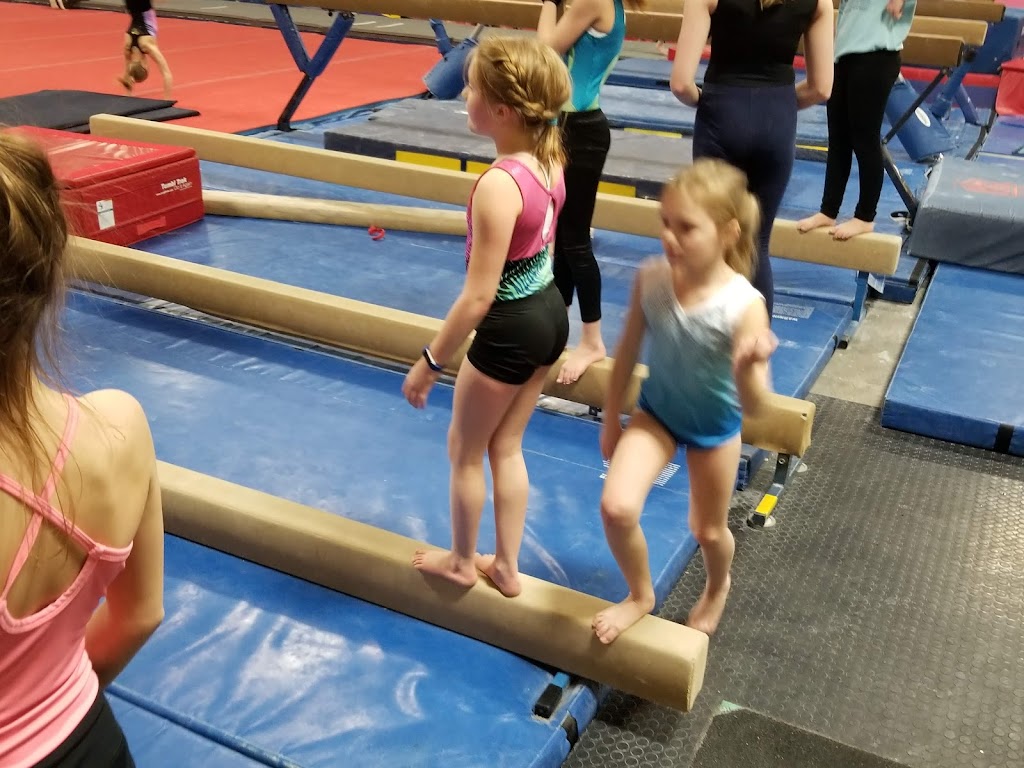  Gymsport Gymnastics