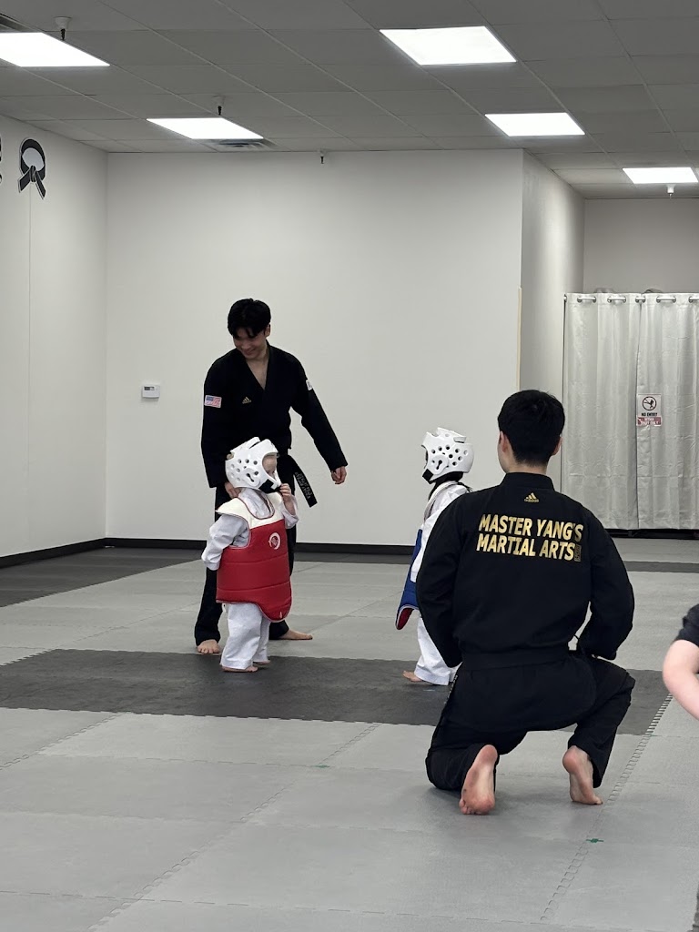  Master Yang's Martial Arts