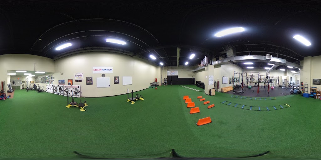  Saratoga Peak Performance