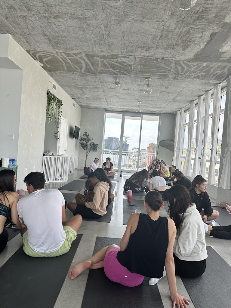  Puppy Sphere | Puppy Yoga (Miami)