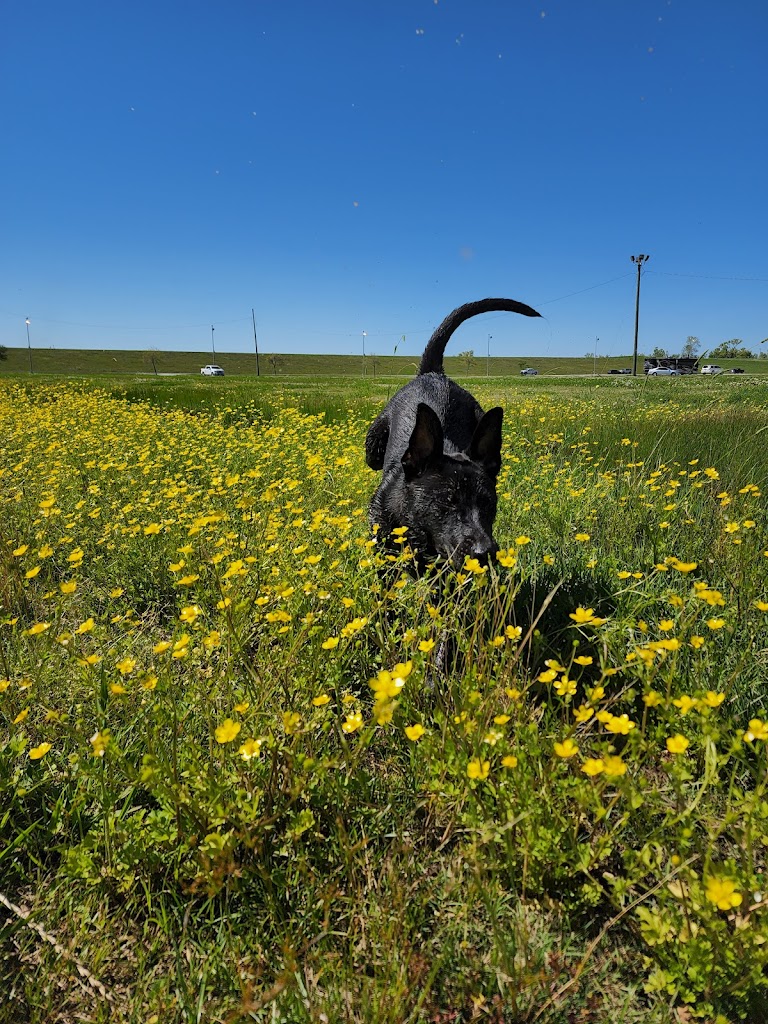  LSU UREC Field Complex