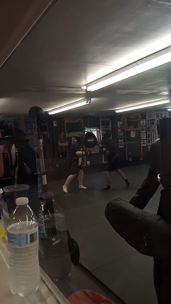  Shaddock Mixed Martial Arts Fitness Essex