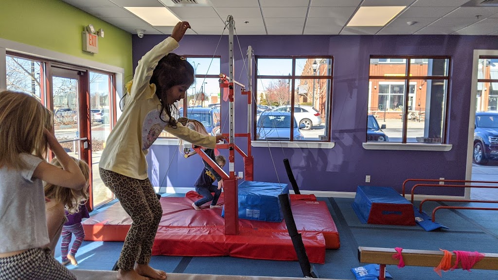  The Little Gym of Asheville