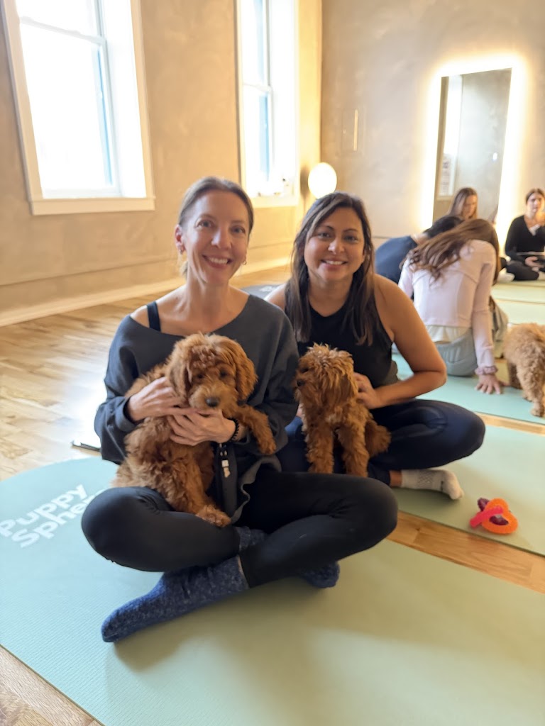  Puppy Sphere | Puppy Yoga (West Town)