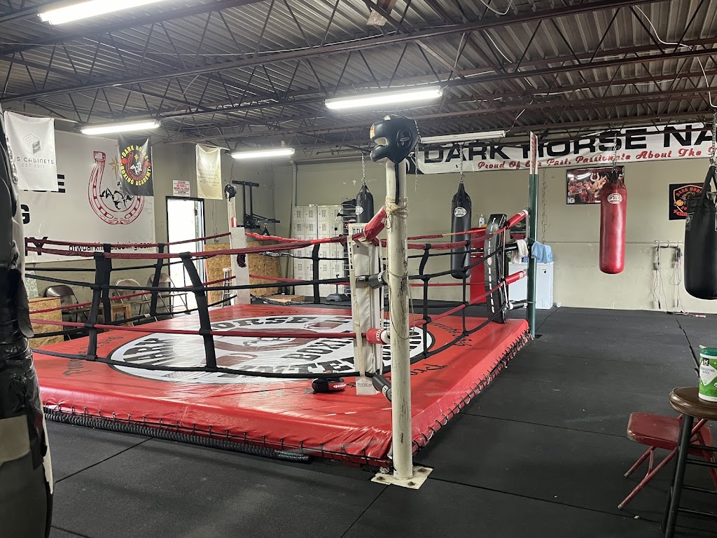  Dark Horse Boxing Academy