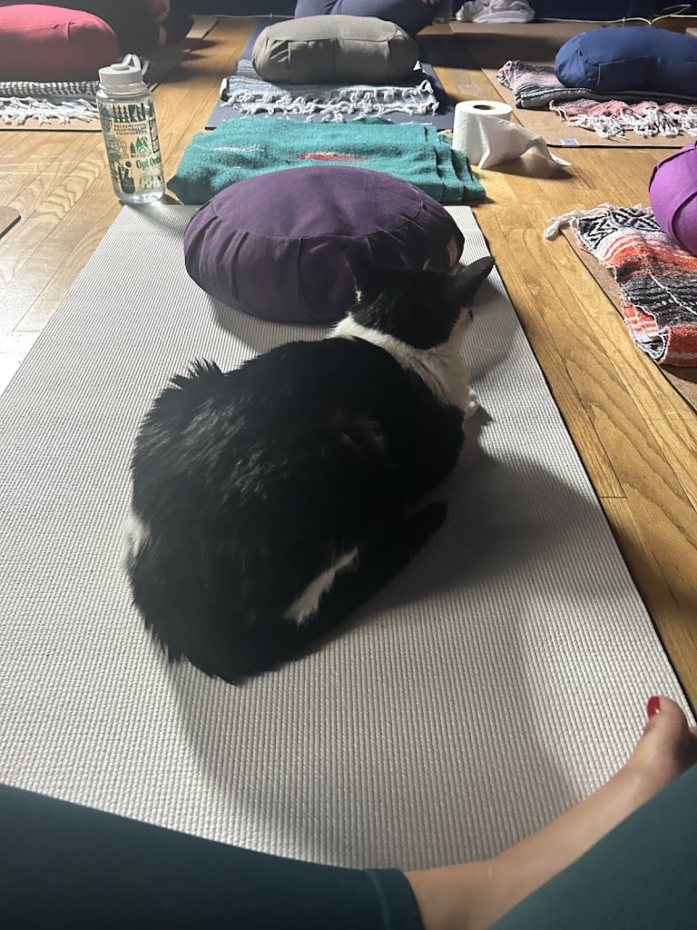  Illumine House of Yoga LLC