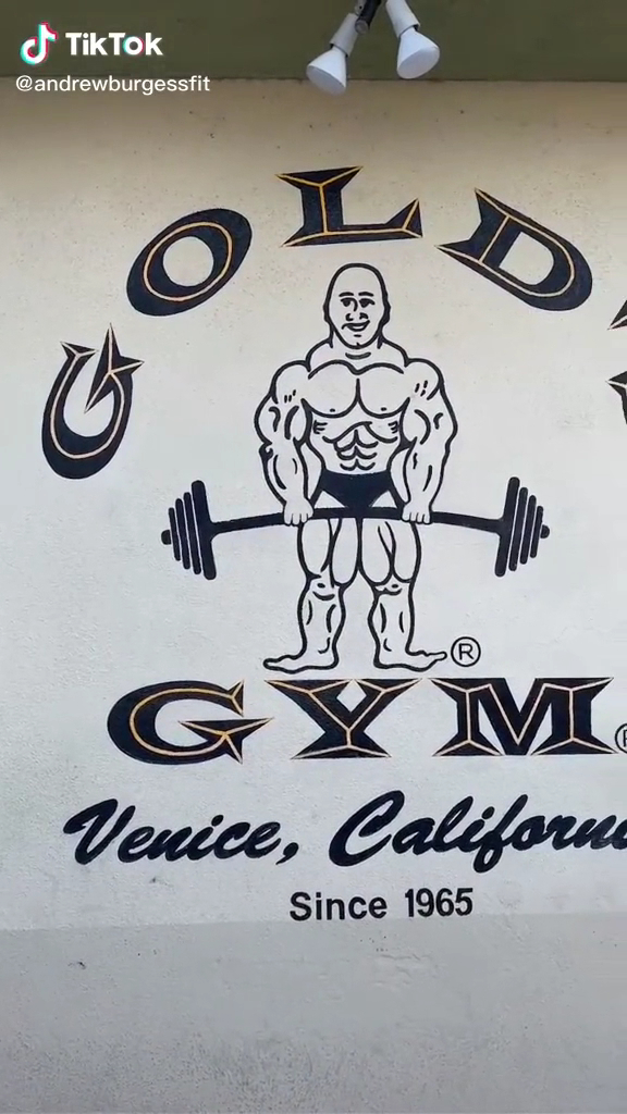  Gold's Gym Venice