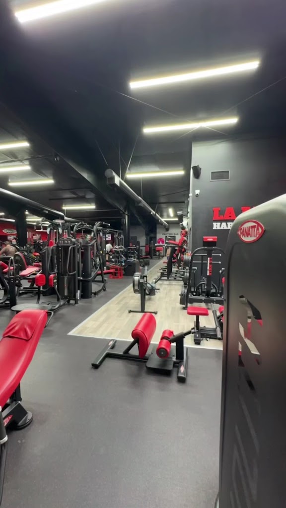  La Mole Hardcore Gym