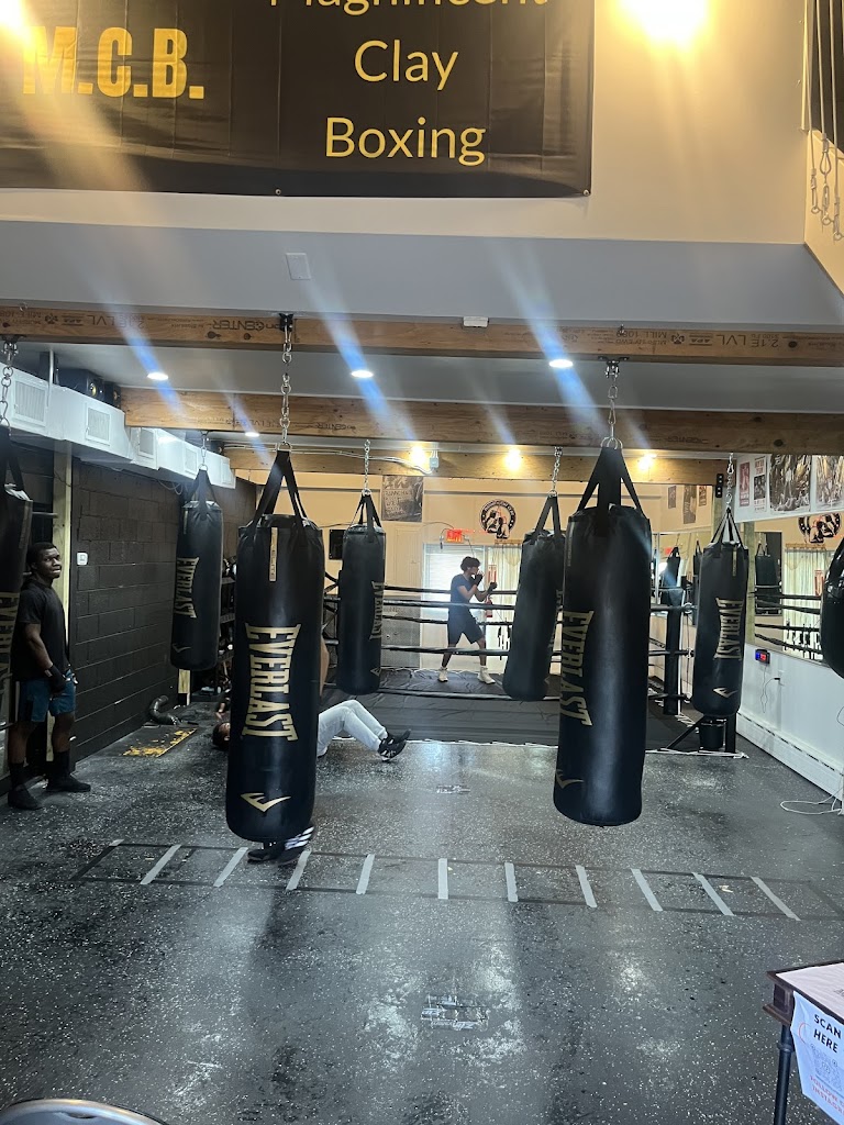  Magnificent Clay Boxing