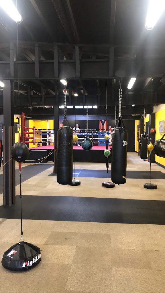  Pivott Boxing Academy