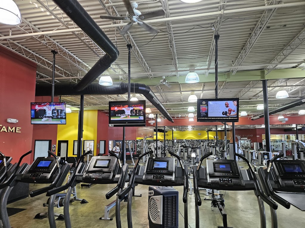  Gold's Gym - Annandale