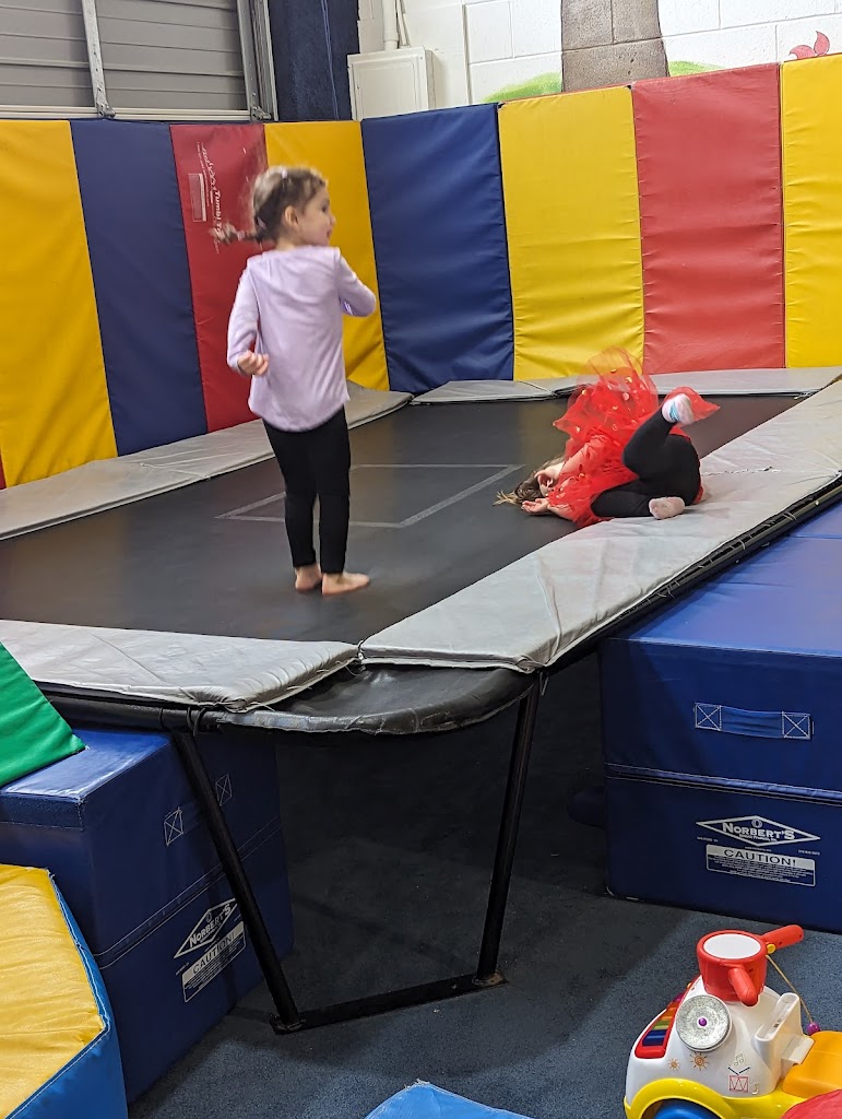  All American Gymnastics and Totnastics Too