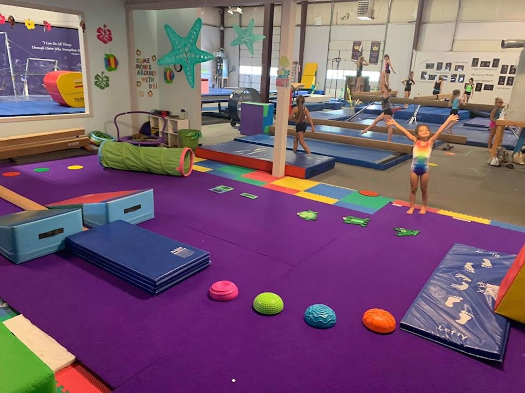  Impact Gymnastics and Sports Academy