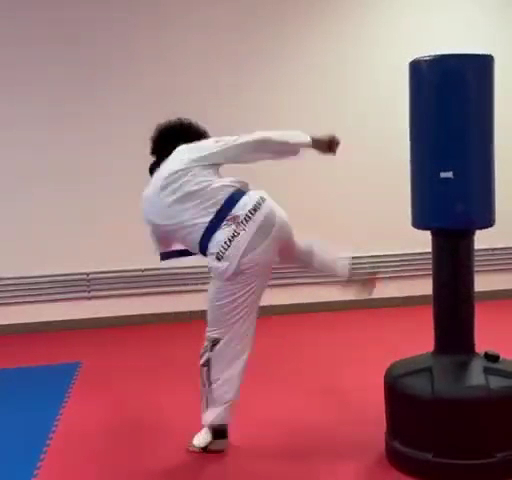  Williams Taekwondo