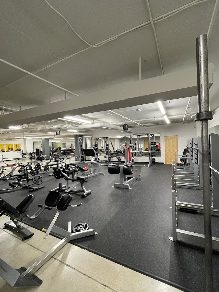  The GYM
