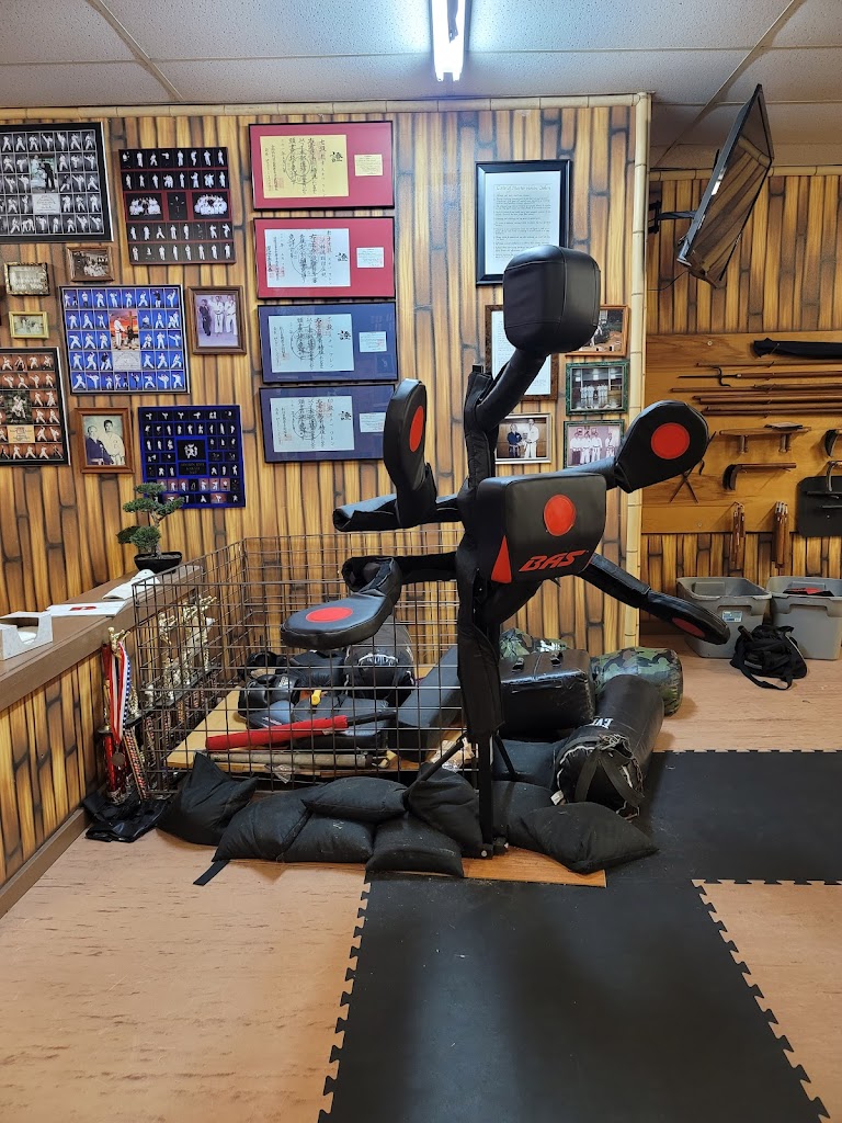  Shorin Ryu Karate Academy