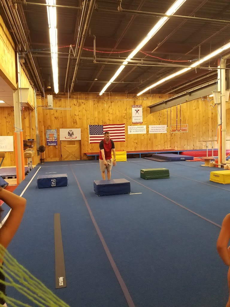  All Ranks Academy Gymnastics