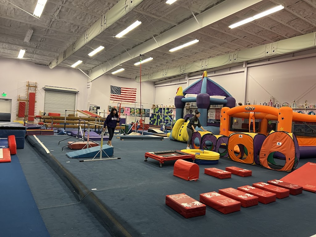  Fantastic Gymnastics