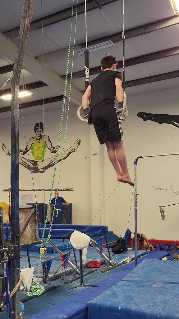  Gold Cup Gymnastics School