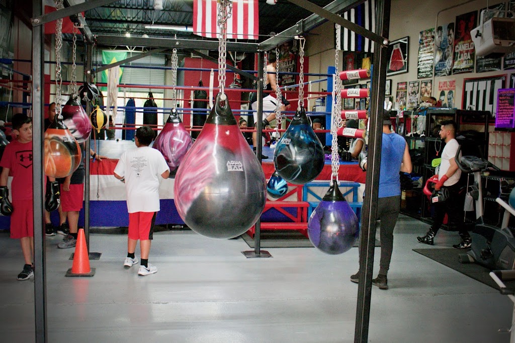  Warriorsedge Boxing Promotions