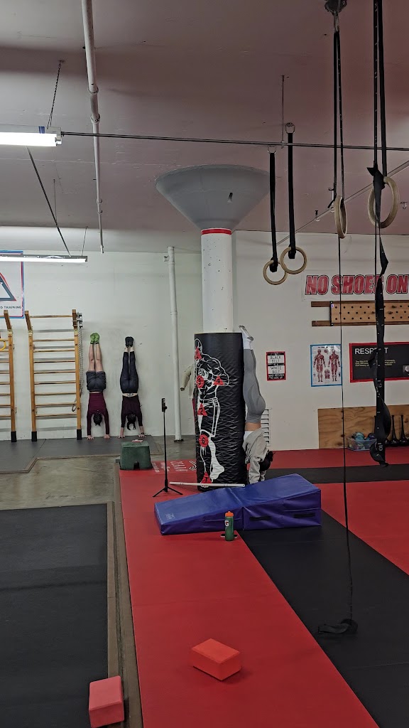  Center For Balanced Training