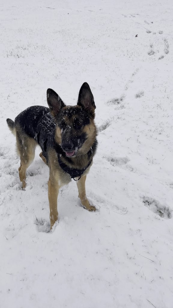  TWIGS KIDS Gymnastics, Swimming & Cheer