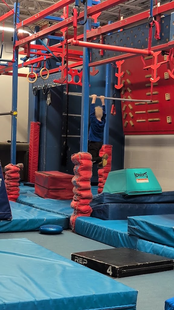  Conquer Ninja Gyms Eden Prairie