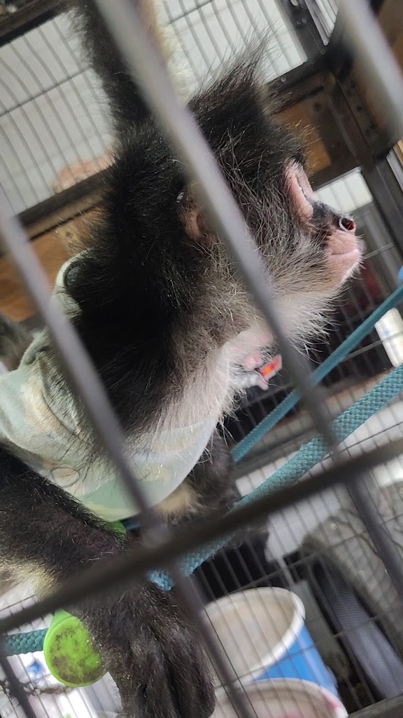  Yoga House RGV | Hot Yoga and Pilates Studio