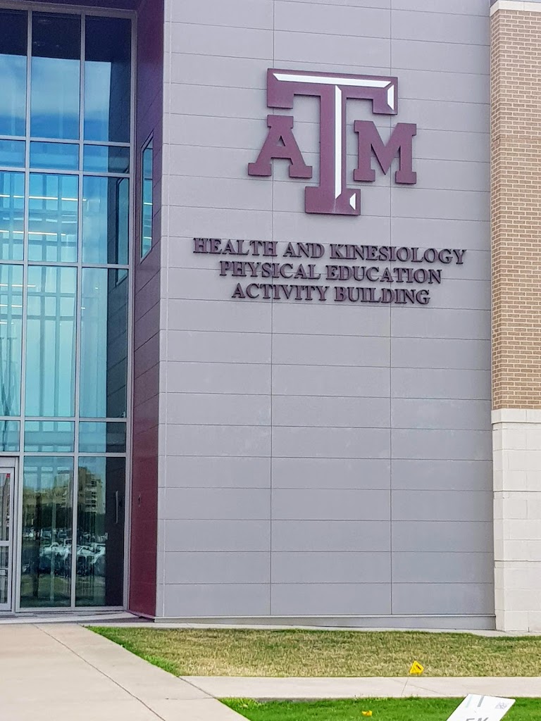  Physical Education Activity Program Building (PEAP)