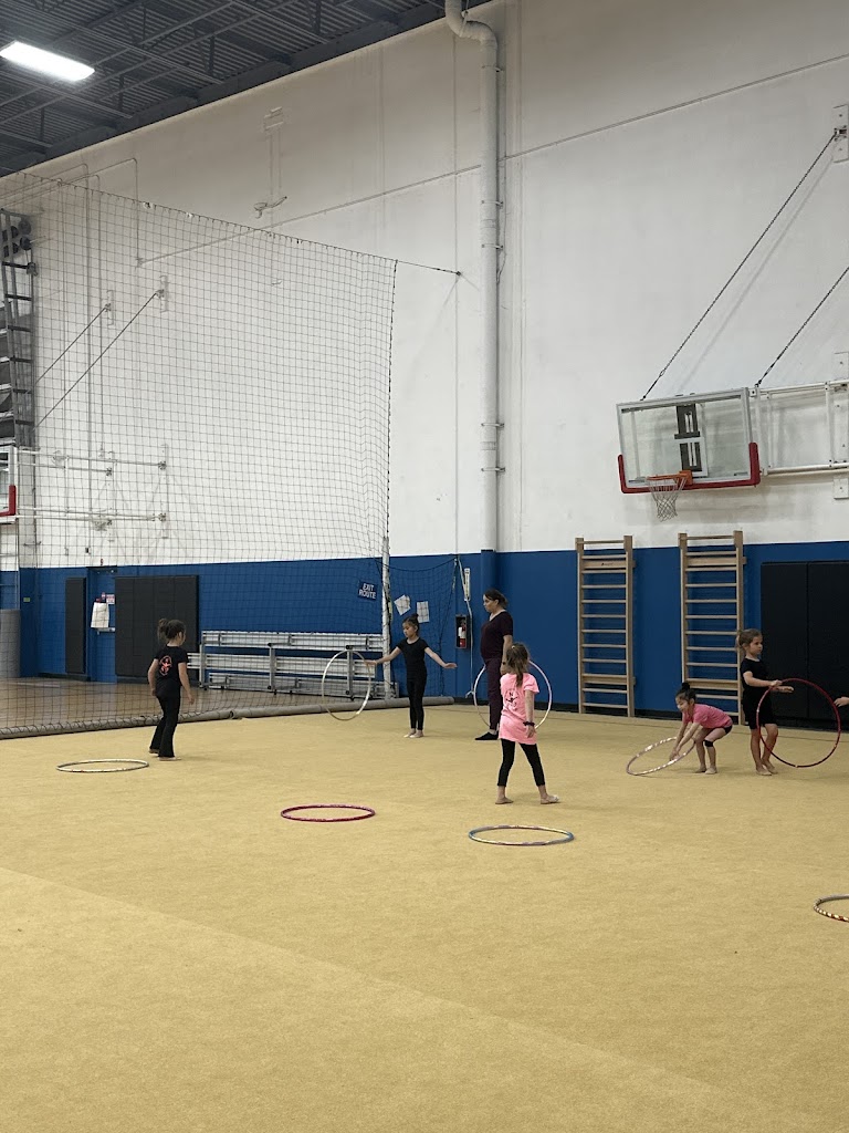  Nimble Rhythmic Gymnastics
