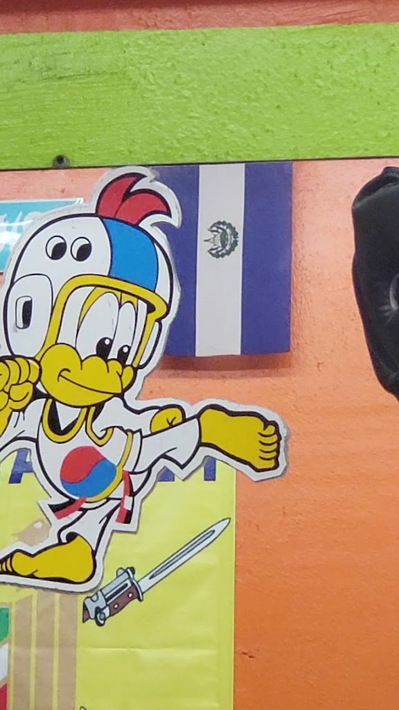  Vi's Karate Do School