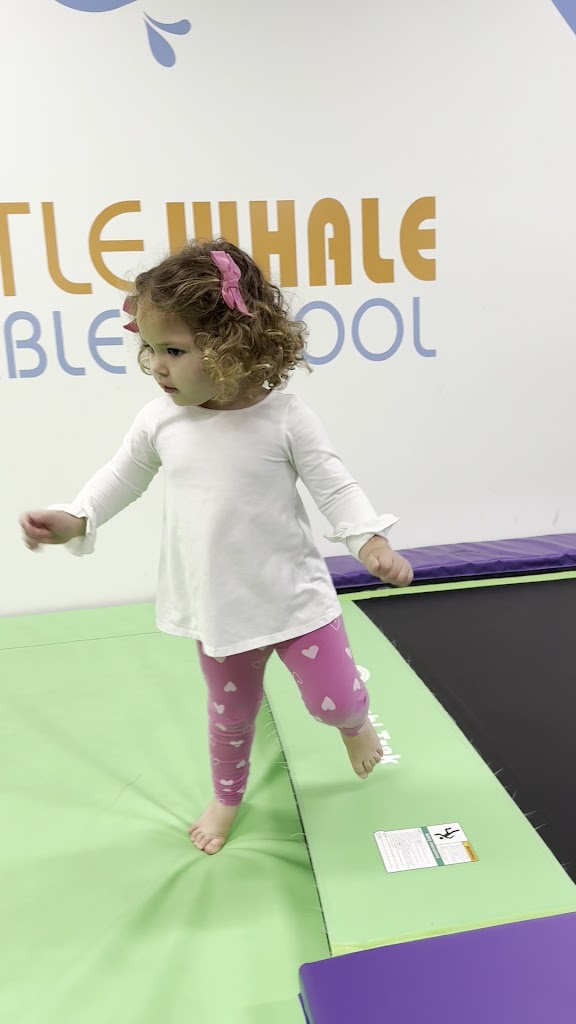  Little Whale Tumble School